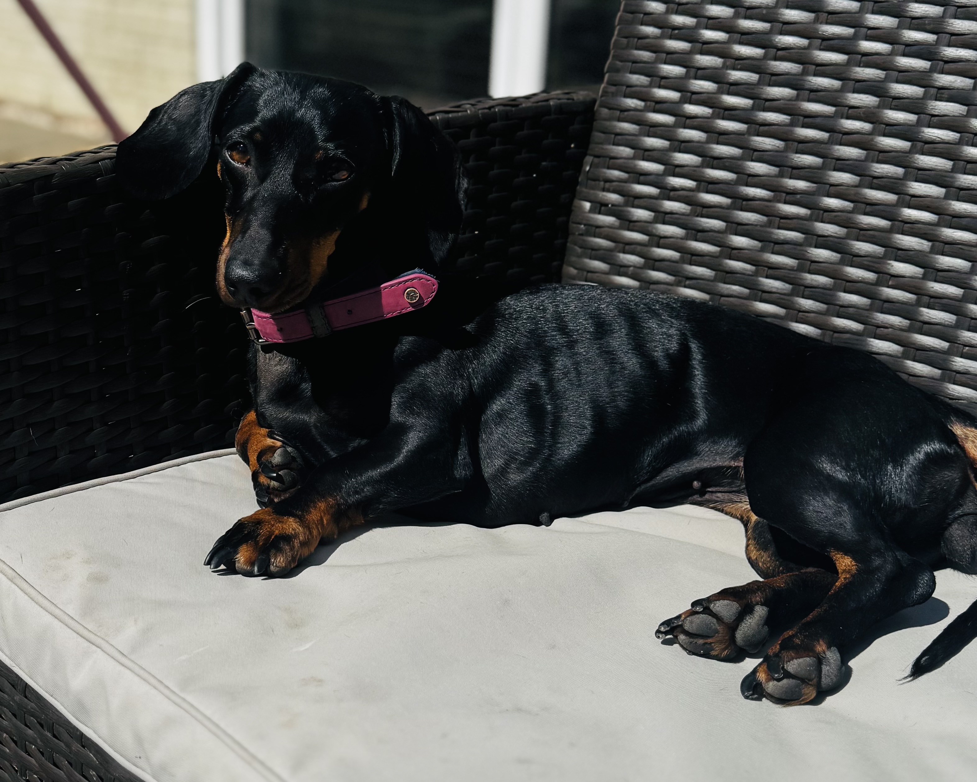 Nala