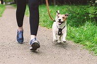 Dog fouling