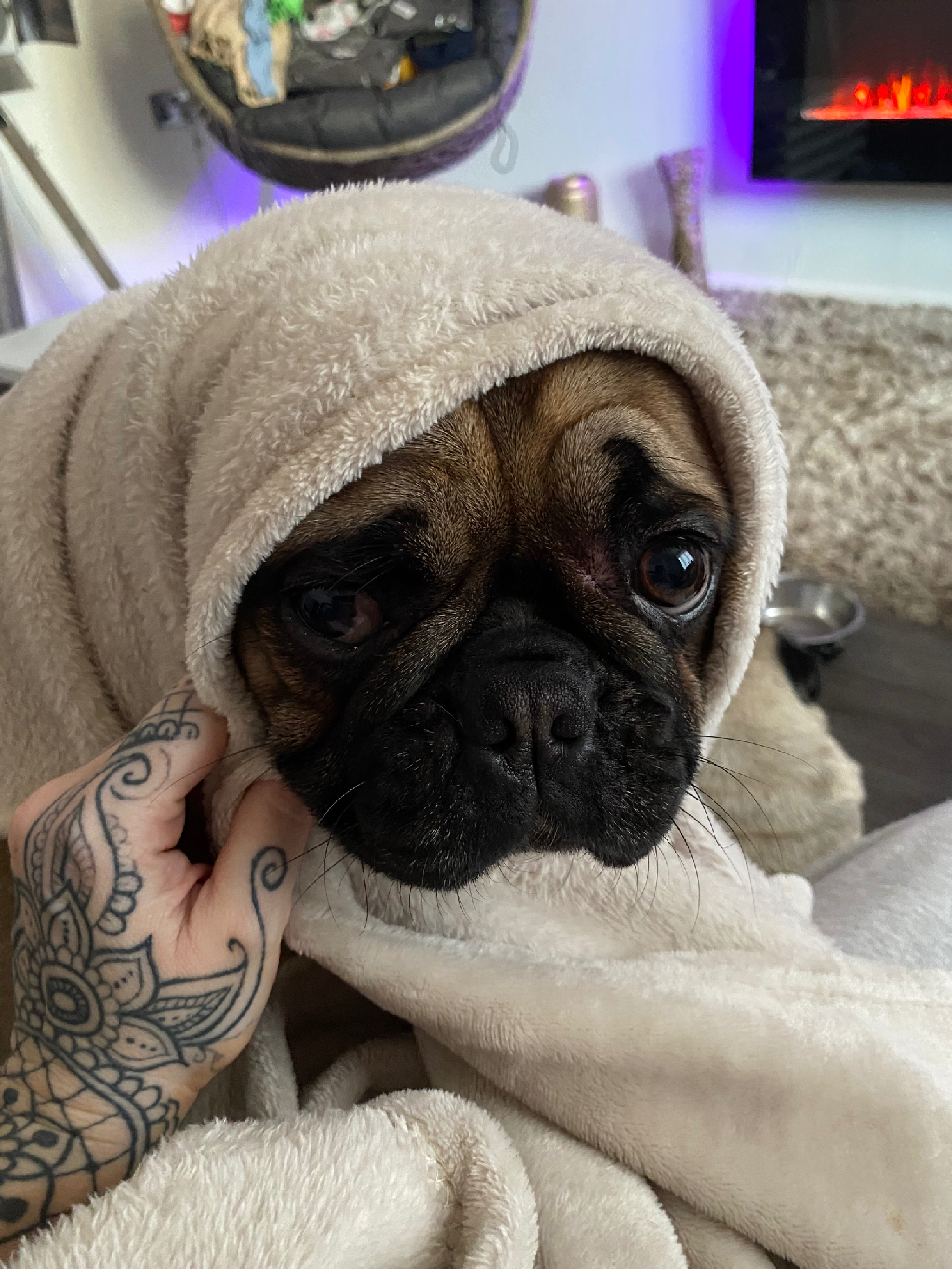 Frug 
