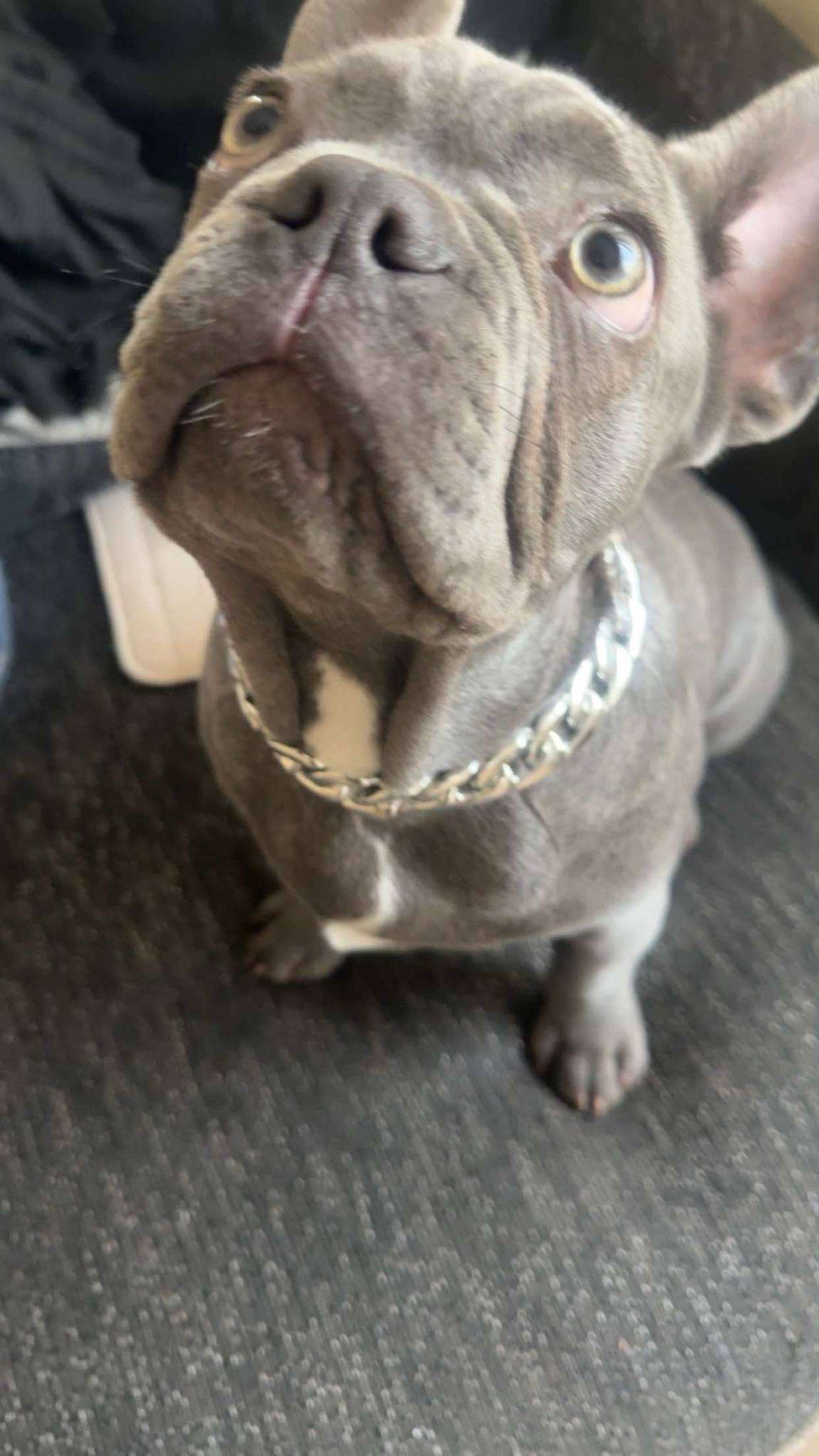 Frankie