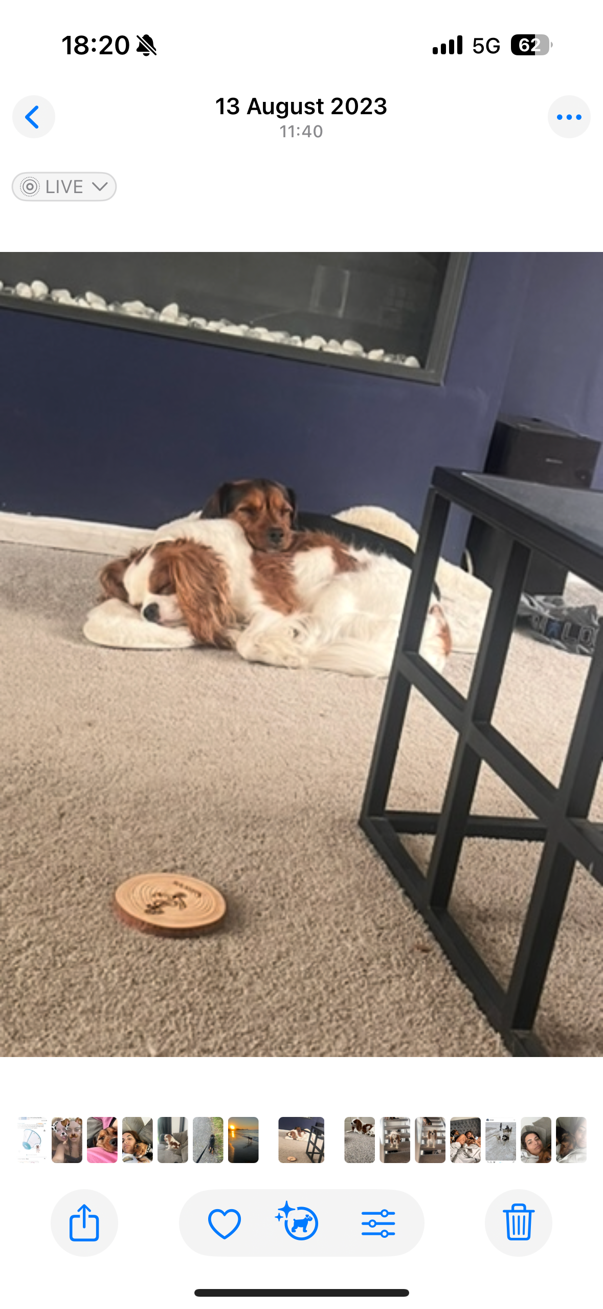 Coco