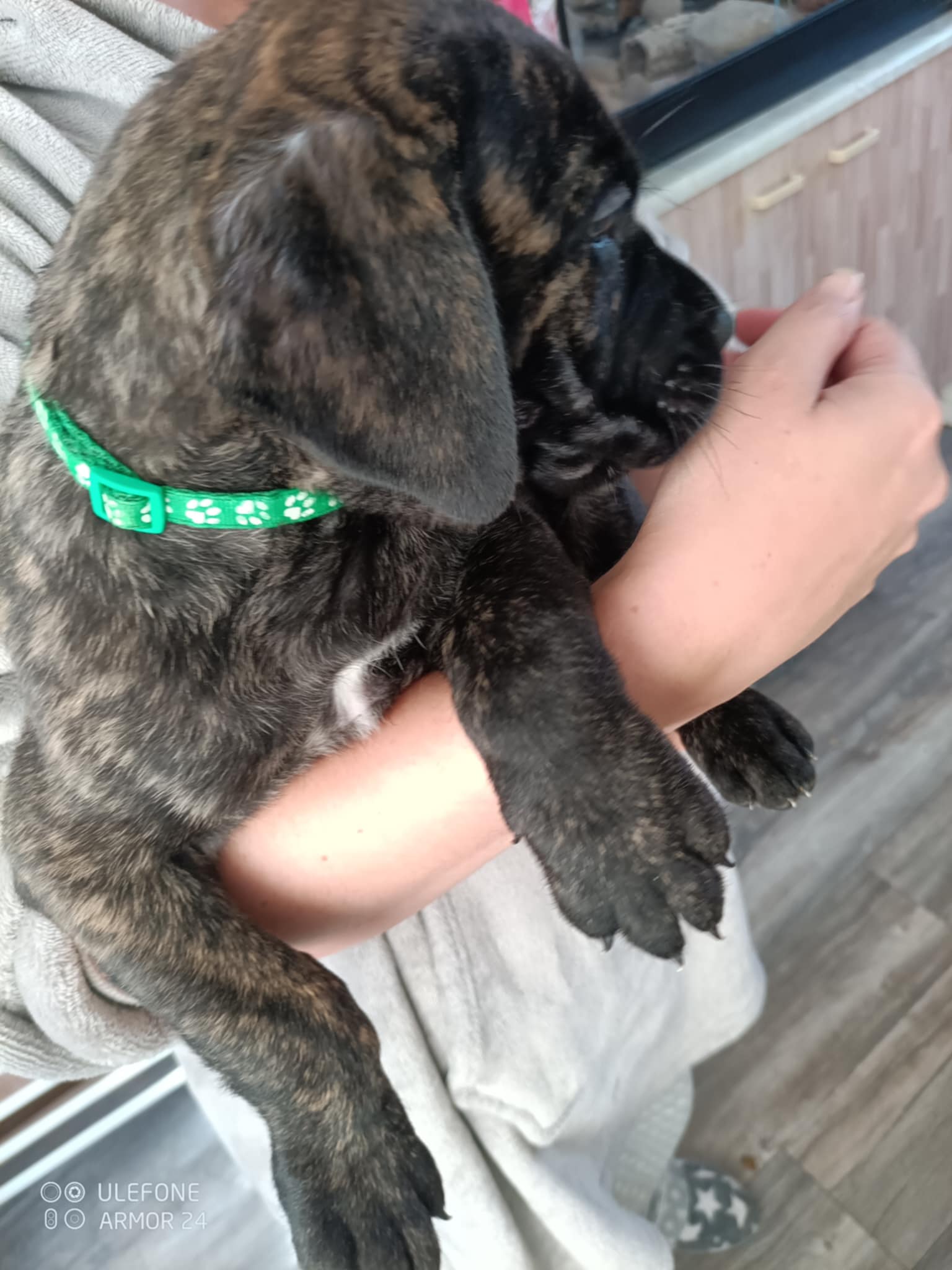 Green collar