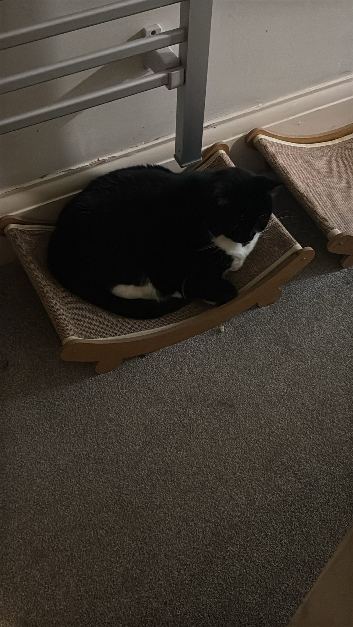 Female black and white